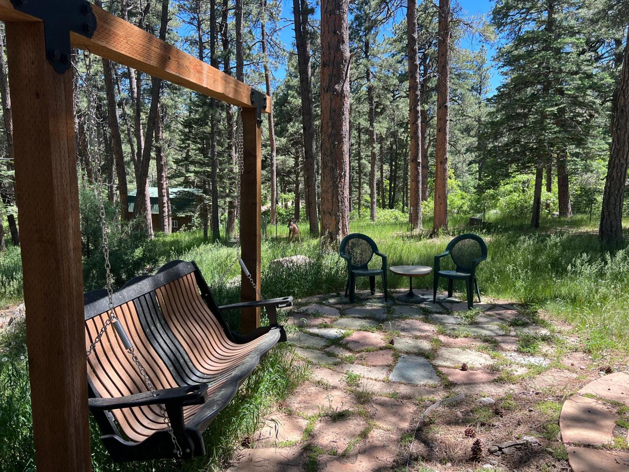 Cozy Cabin On The Creek Colorado City Exterior foto
